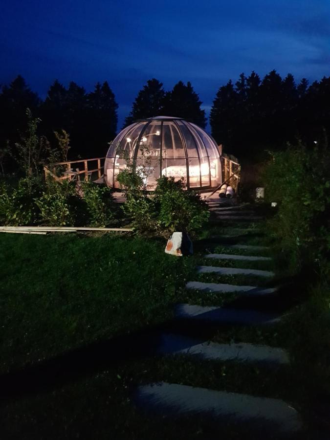 Lodge La Bulle Au Bois Dormant D'ovifat Robertville